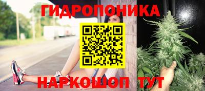 наркотики Камышлов
