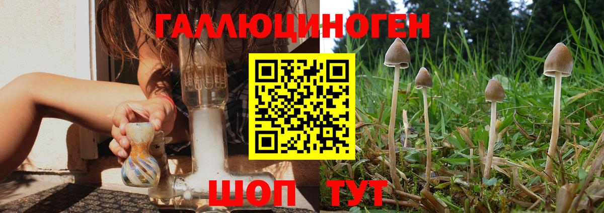 Псилоцибиновые грибы прущие грибы  закладка  Югорск  Вход с VPN 