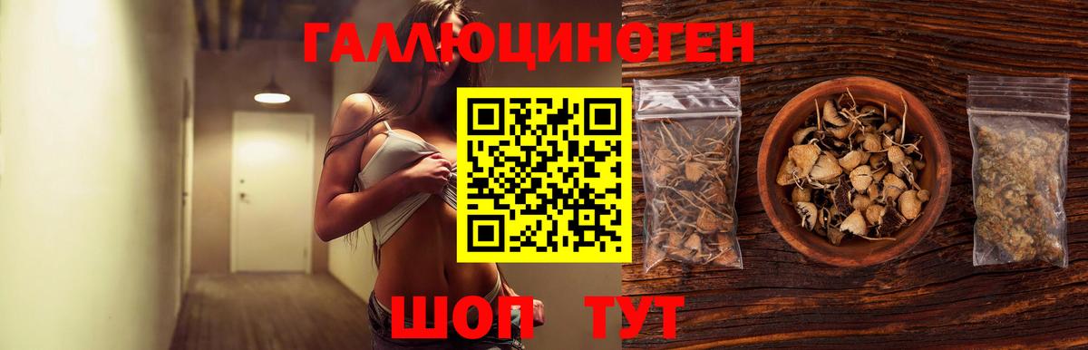 Галлюциногенные грибы GOLDEN TEACHER Югорск